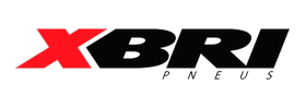 XBRI